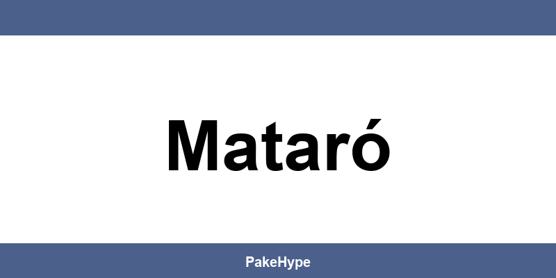 Teléfono gratuito y contacto de Paack en Mataró